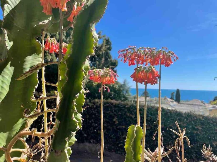 Nervi Residenziale A Due Passi Dal Mare Lägenhet Genua Exteriör bild